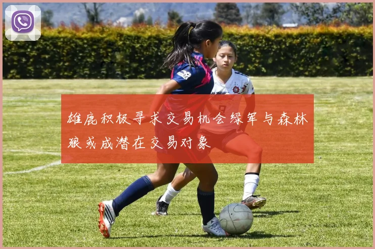 雄鹿积极寻求交易机会绿军与森林狼或成潜在交易对象